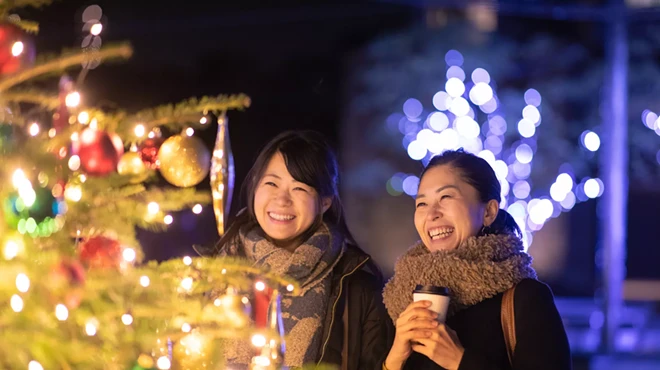 Image: Carolina Holiday Lights Spectacular