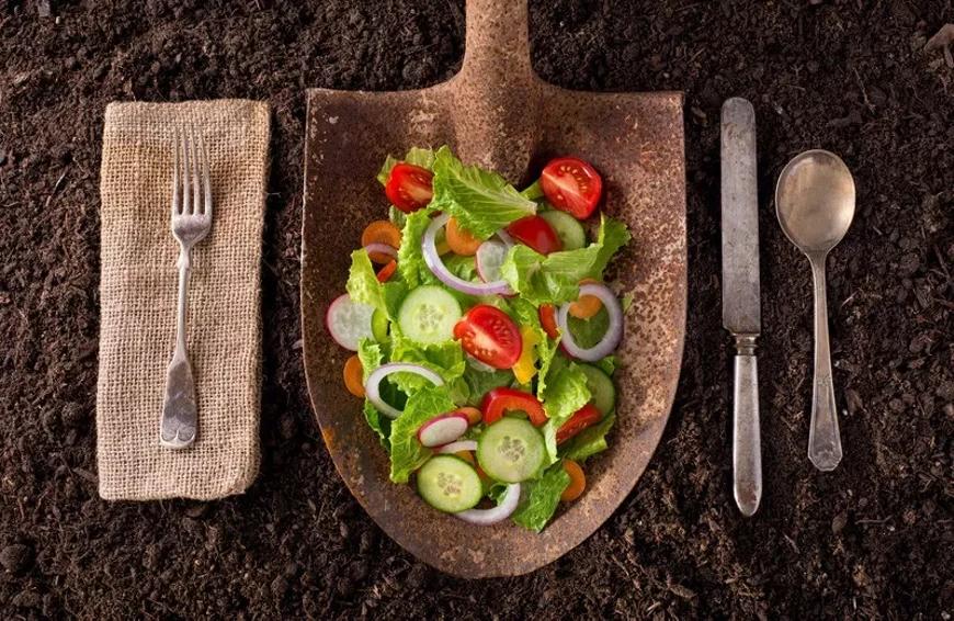 farm_to_table.webp
