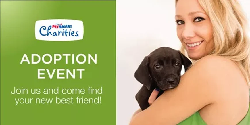 5084ddb9_15-charities-6595_social_banner_dog.webp