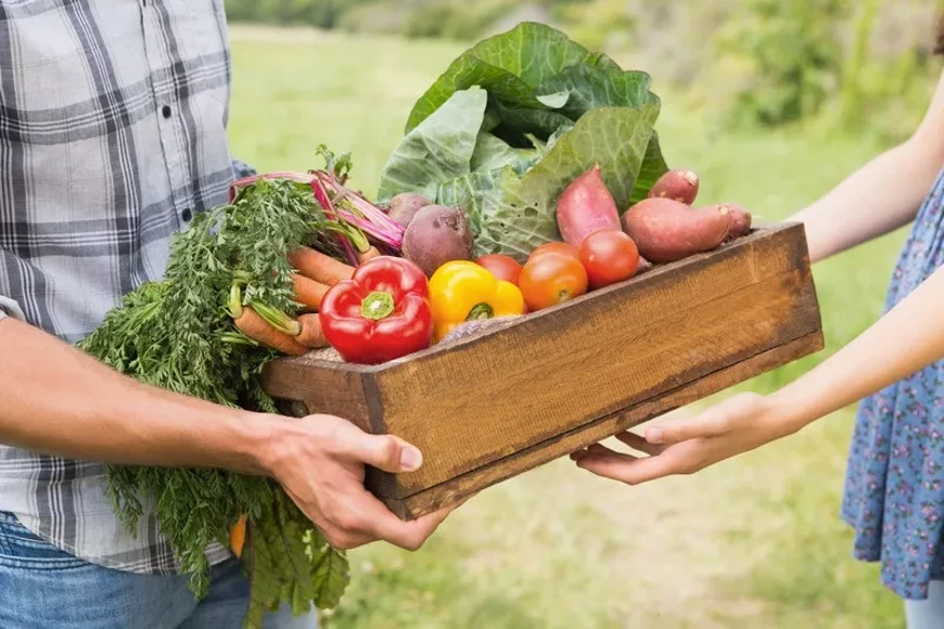 farmer.webp