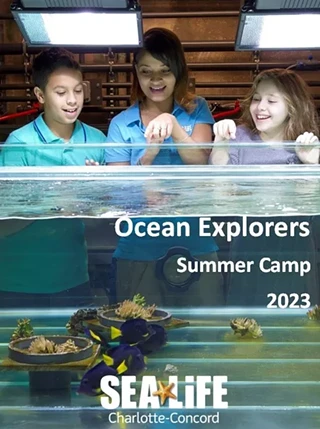 Image: Summer Camps are Available at SEALIFE Charlotte-Concord this June & July