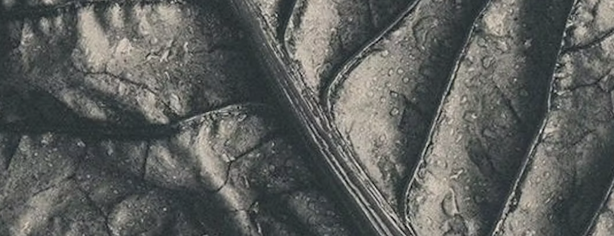 screenshot_2026-02-19_at_8.52.18___pm.png