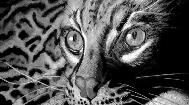 Image: The Artistry Of Rose Tripoli Mueller Drawings/Clay Work!